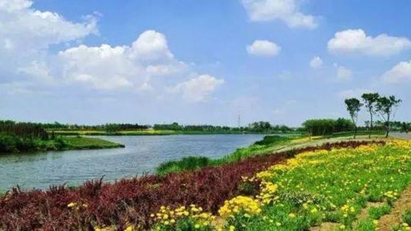 农药化肥报价单：如何解读与选择**