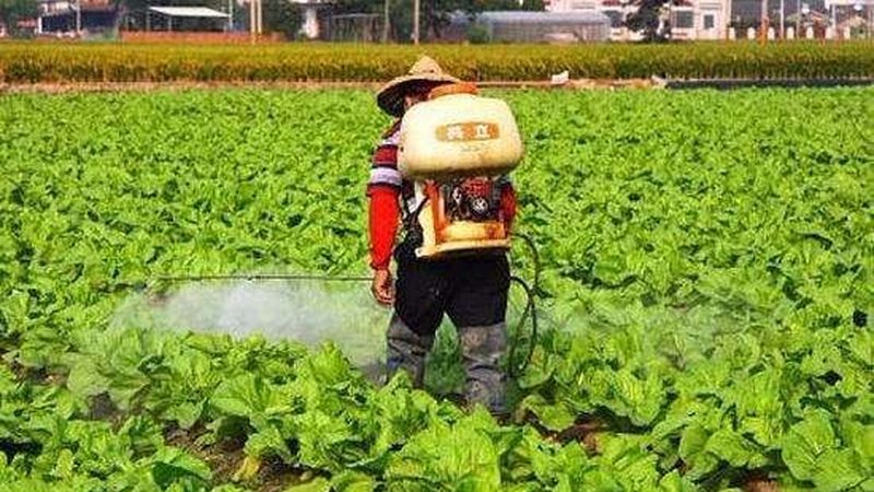 农民专业合作社注销公章怎么处理