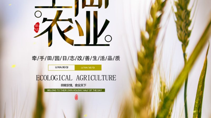 设施农业项目申报，如何精准把握关键点？**