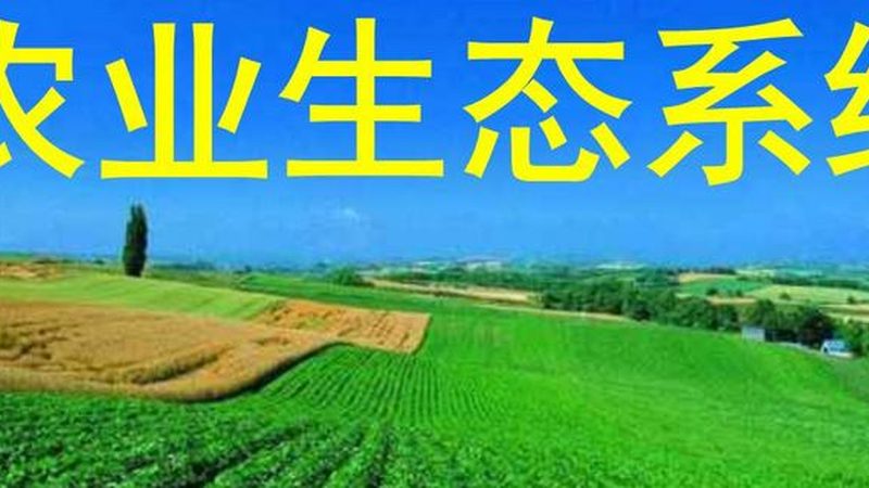 家庭农场补贴哪家强？揭秘补贴政策背后的真相