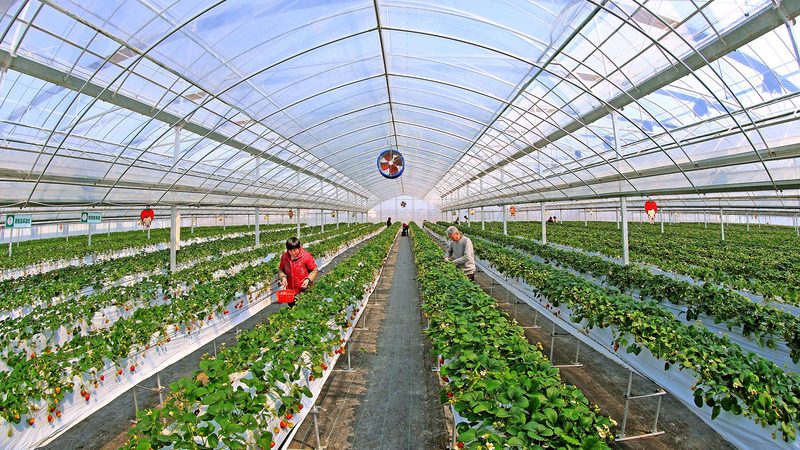 了解注册条件后，接下来就是准备注册材料。以下是一份常见的注册材料清单：
