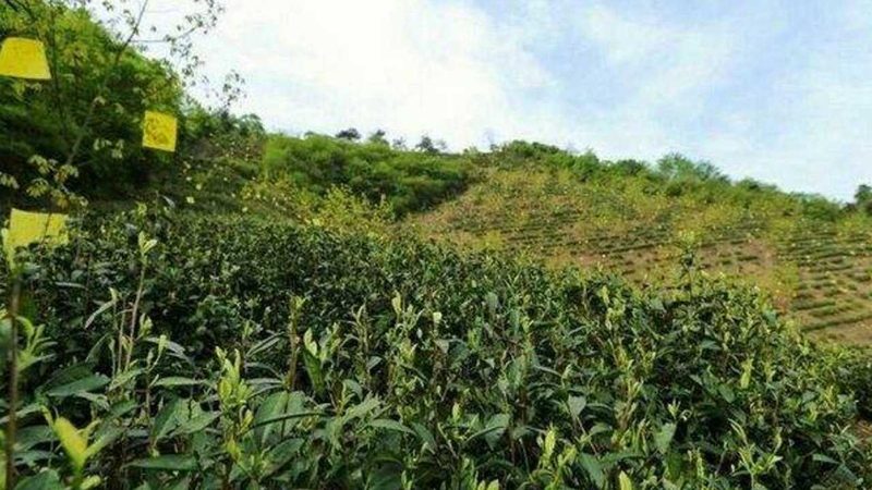 在设备选型过程中，要充分考虑以下因素：