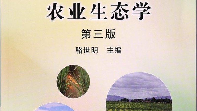 杭州绿色食品加工厂定制代工，揭秘绿色食品加工的秘密