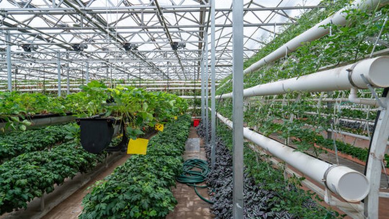 农业种植技术视频教学网站：助力精准农业发展新篇章