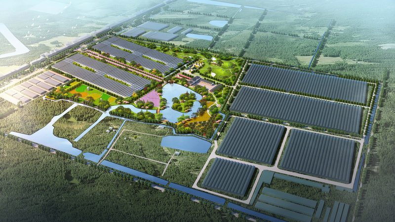 选择一个有实力、口碑良好的加盟品牌至关重要。投资者可以从以下几个方面进行考察：