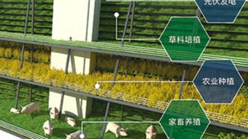 农业产业园温室大棚施工安装，流程揭秘**