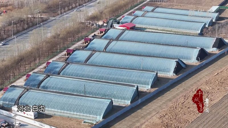 农业合作社贷款，这些资料清单不可少